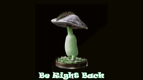 Snapshot of drillhouse_ chatting on January 28, 2025, 7:21 pm Tara Sonny online show from January 28, 2025, 7:21 pm