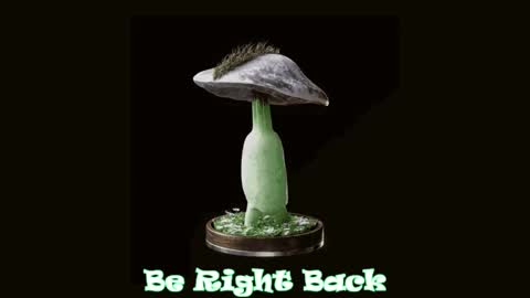 Snapshot of drillhouse_ chatting on February 20, 2025, 11:54 pm Tara Sonny online show from February 20, 2025, 11:54 pm