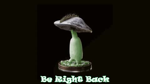 Snapshot of drillhouse_ chatting on February 27, 2025, 7:23 am Tara Sonny online show from February 27, 2025, 7:23 am