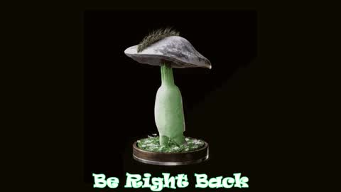 Snapshot of drillhouse_ chatting on October 2, 2025, 12:17 am Tara Sonny online show from October 2, 2025, 12:17 am