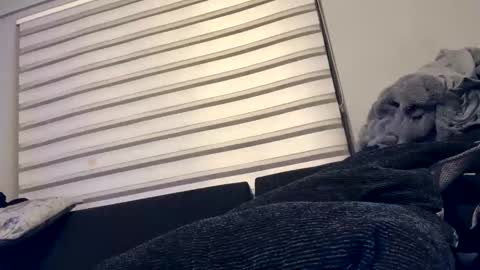 Snapshot of drippinggenie chatting on December 26, 2024, 5:08 pm drippinggenie online show from December 26, 2024, 5:08 pm