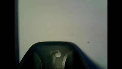 drippingpussy__ online show from October 15, 2025, 11:21 am