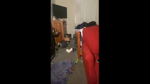 Drippy kitty  online show from December 22, 2025, 9:50 am