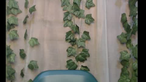 linda online show from September 16, 2025, 3:02 pm