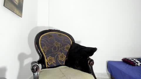 drizsx online show from January 15, 2025, 9:02 am