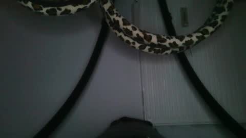 Snapshot of drolyts chatting on February 25, 2026, 3:05 am drolyts online show from February 25, 2026, 3:05 am