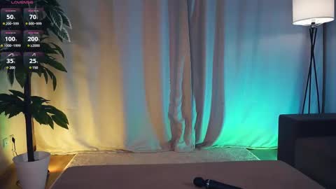 Polly day and Amelia night online show from February 14, 2025, 9:13 am