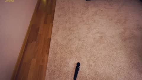 Polly day and Amelia night online show from March 7, 2025, 9:29 am