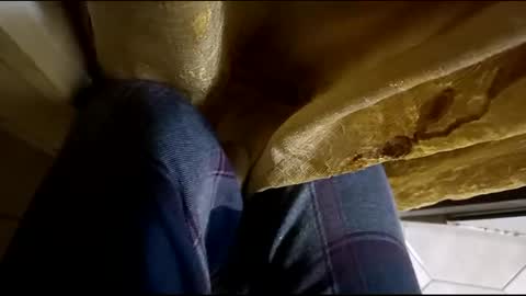 dthedog12 online show from March 12, 2025, 2:09 am