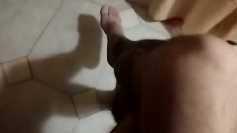 dthedog12 online show from September 30, 2025, 8:58 pm