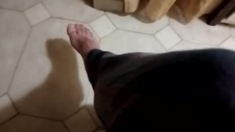 dthedog12 online show from November 4, 2025, 11:48 pm