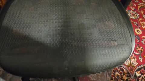 Snapshot of dudewipe chatting on February 7, 2026, 7:34 am dudewipe online show from February 7, 2026, 7:34 am