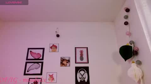 Dulce online show from February 20, 2026, 6:26 am