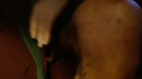 dunany101 online show from February 26, 2025, 10:53 pm