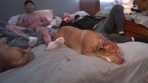 Snapshot of dustinwyant1983 chatting on November 8, 2025, 7:12 pm dustinwyant1983 online show from November 8, 2025, 7:12 pm