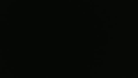 Delilah  Papi online show from November 1, 2025, 2:24 am