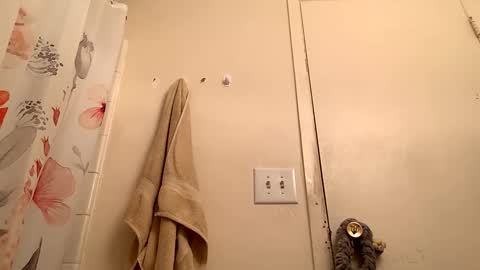 Snapshot of easybreeze69 chatting on January 21, 2025, 8:32 pm easybreezy69 online show from January 21, 2025, 8:32 pm