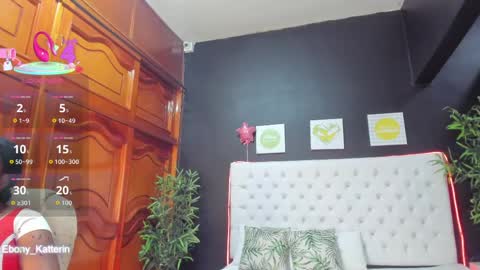 Snapshot of ebony_katterin chatting on May 7, 2026, 11:48 am ebony_katterin online show from May 7, 2026, 11:48 am