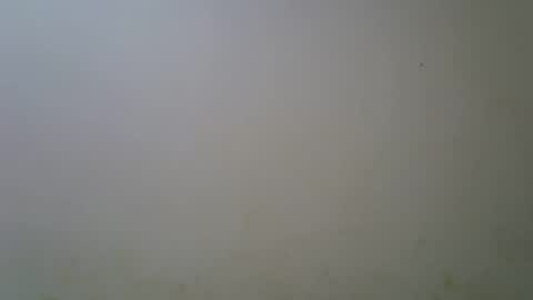 Snapshot of ebonyfire99 chatting on October 5, 2025, 7:56 pm ebonyfire99 online show from October 5, 2025, 7:56 pm