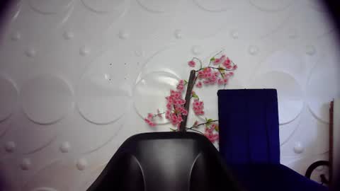 Snapshot of ebonykissxx chatting on June 26, 2026, 11:36 am ebonykissxx online show from June 26, 2026, 11:36 am