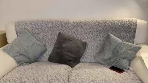Snapshot of eboporn3 chatting on June 27, 2026, 8:36 pm SweetyEbony online show from June 27, 2026, 8:36 pm