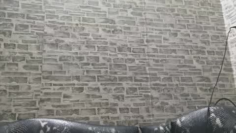 edithmanning online show from January 15, 2025, 3:33 am