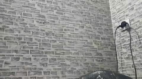 edithmanning online show from January 18, 2025, 11:11 am