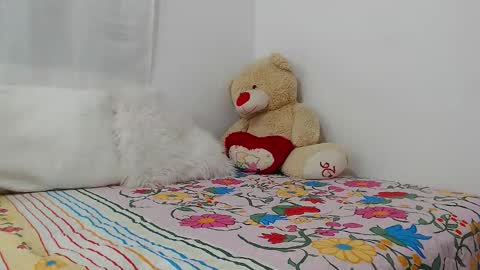 eileenmost online show from December 19, 2024, 11:46 pm