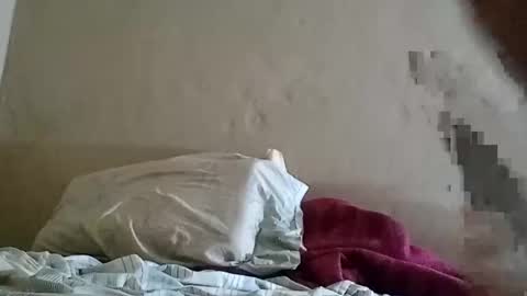 Snapshot of el131140 chatting on February 8, 2025, 3:41 am Sebastin online show from February 8, 2025, 3:41 am