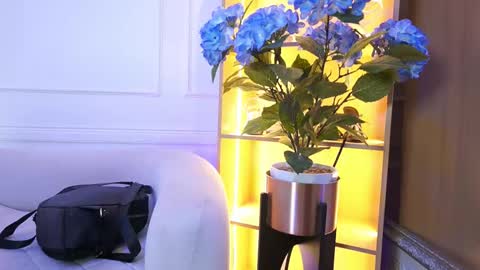 Elasummeer online show from January 13, 2026, 11:48 am