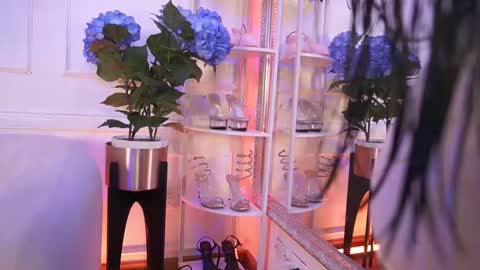 Elasummeer online show from February 12, 2026, 12:00 pm