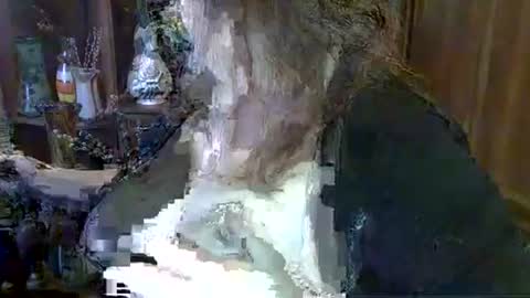 ElenaZed online show from October 6, 2025, 9:40 am