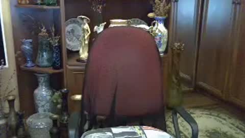 ElenaZed online show from July 28, 2026, 3:35 am