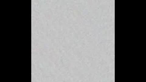 elephant_titus online show from January 20, 2025, 11:02 am