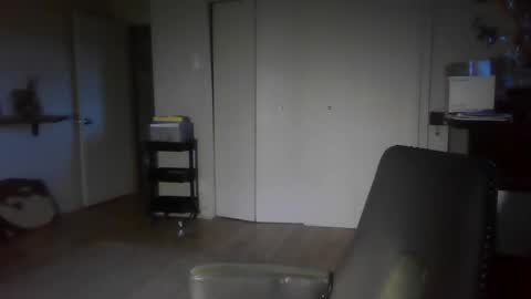 Snapshot of elephantfox chatting on December 30, 2024, 12:32 am fox online show from December 30, 2024, 12:32 am