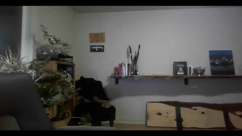 Snapshot of elephantfox chatting on February 11, 2025, 3:18 am fox online show from February 11, 2025, 3:18 am