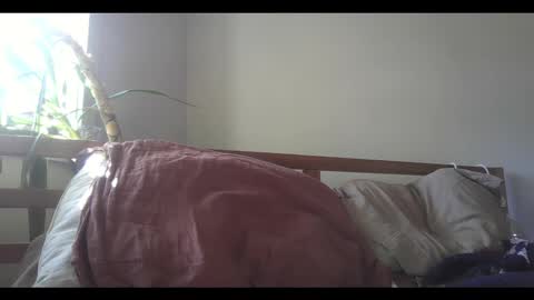 Snapshot of elephantfox chatting on February 11, 2025, 9:14 pm fox online show from February 11, 2025, 9:14 pm