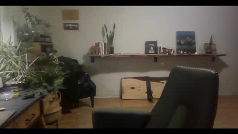 Snapshot of elephantfox chatting on March 2, 2025, 4:50 am fox online show from March 2, 2025, 4:50 am