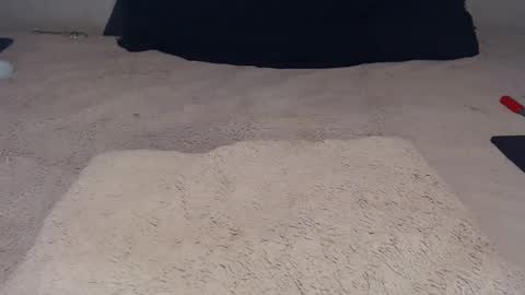 Snapshot of elgsslt chatting on November 23, 2025, 12:16 pm elgsslt online show from November 23, 2025, 12:16 pm