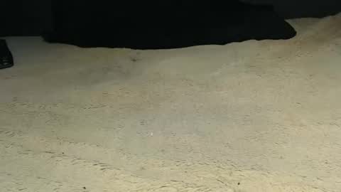 elgsslt online show from April 9, 2026, 9:26 am