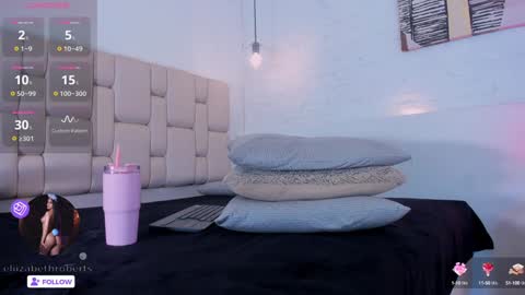 Snapshot of eliizabeth_roberts chatting on December 28, 2024, 8:48 am E L I I Z A B E T H online show from December 28, 2024, 8:48 am