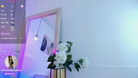 Snapshot of eliizabeth_roberts chatting on March 8, 2025, 7:38 am E L I I Z A B E T H online show from March 8, 2025, 7:38 am