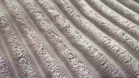 Snapshot of eliterd chatting on November 29, 2025, 7:39 pm eliterd online show from November 29, 2025, 7:39 pm