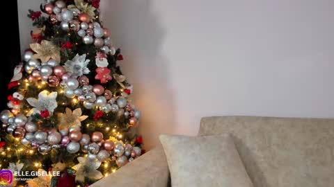 Snapshot of ellegisellee chatting on December 8, 2024, 3:00 am Yiss online show from December 8, 2024, 3:00 am