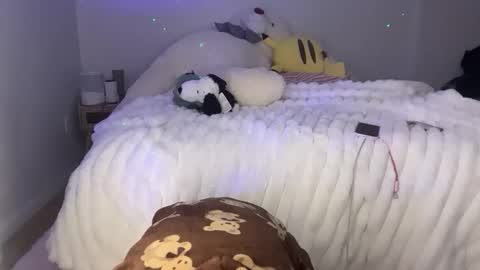 ellie online show from February 25, 2026, 5:39 am