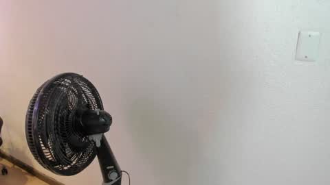 Ellye online show from July 18, 2026, 11:25 am