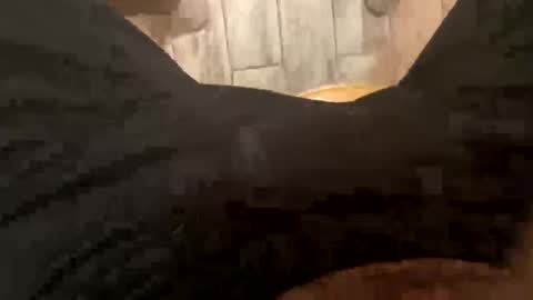 El Parador online show from December 8, 2024, 7:58 am