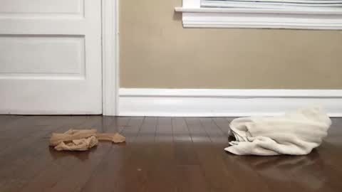 Snapshot of eltruerey chatting on October 15, 2025, 4:56 am Bi Bro online show from October 15, 2025, 4:56 am