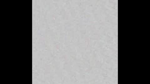 Ely online show from December 21, 2024, 11:22 am