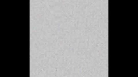 Ely online show from January 14, 2025, 11:20 am